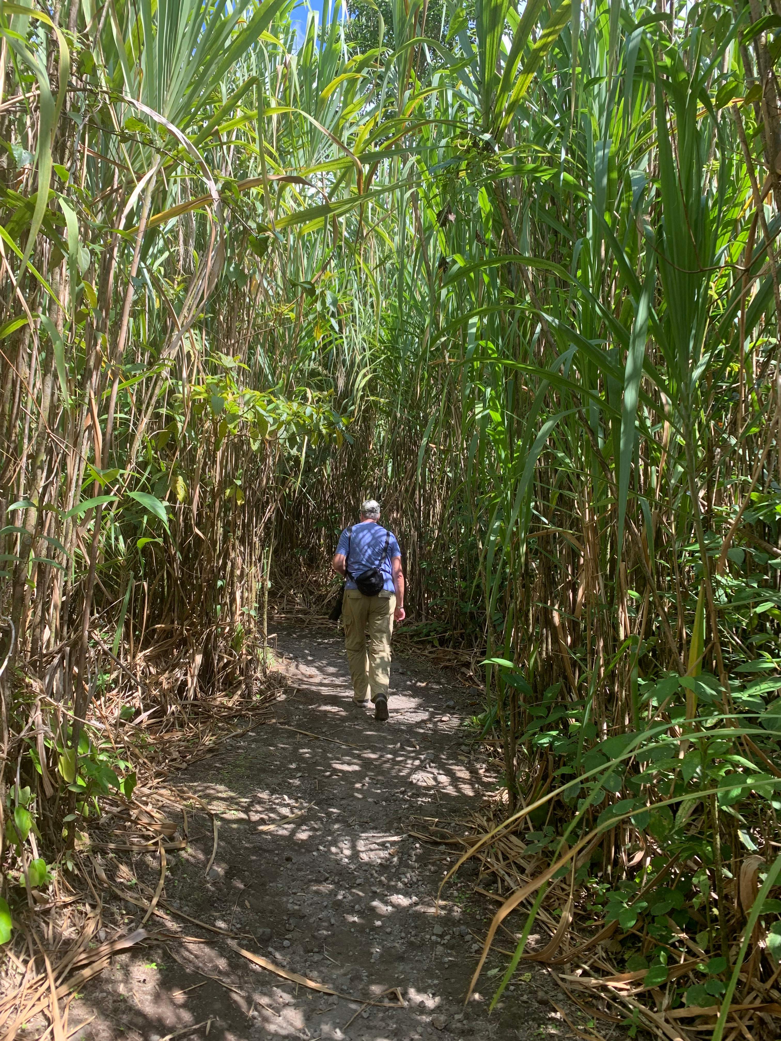 Costa Rica